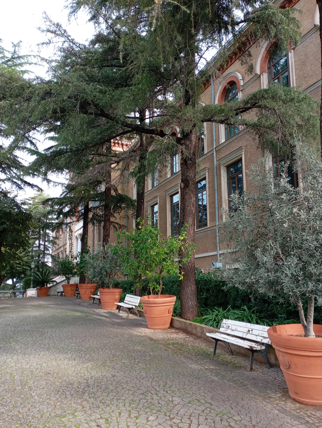 Наш гид, приятная девушка Луиза! Достаточно интересно и просто рассказала исторических локациях "Принцевых островов", дала некоторые