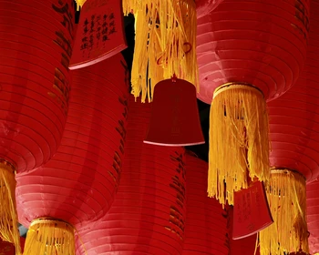 Возвращение в Шанхай