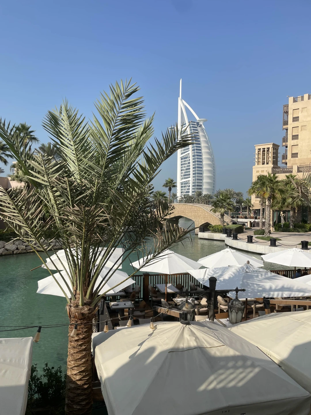 Нам очень понравилась экскурсия узнали много нового об Эмиратах