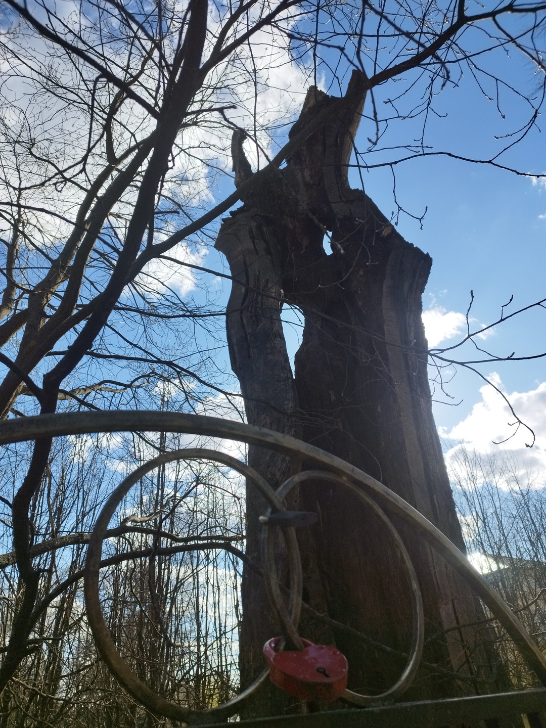 Заинтересовалась этой экскурсией, как только она попалась мне на глаза - и не только потому, что
