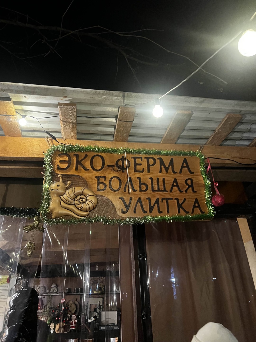 Гастроэкскурсия по первой улиточной ферме в Адлерском районе (Анна)