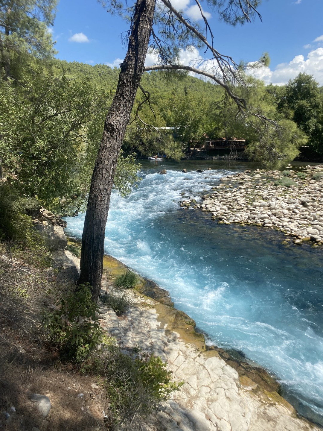 По каньонам Кёпрюлю и Тазы из Аланьи: рафтинг и джипинг/кабрио-сафари (Алина)