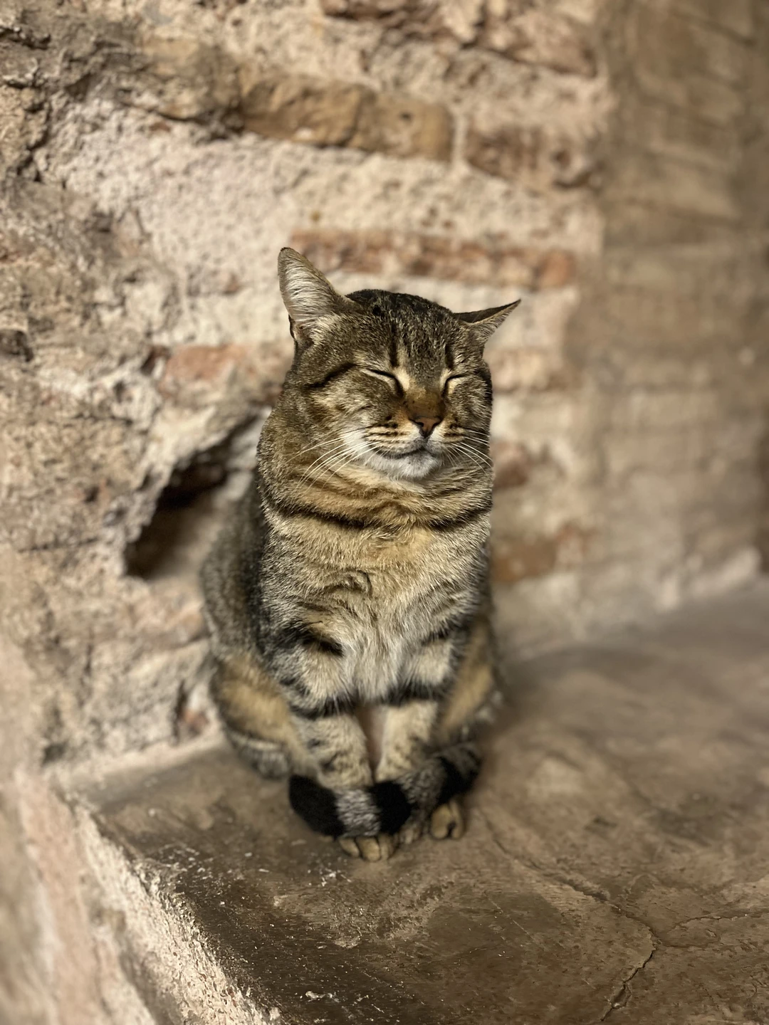 Экскурсию проводил Мухамед. Если можно было поставить 10 баллов, с удовольствием бы поставила. Один из лучших