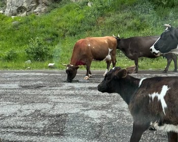 Медовые водопады, Аликоновское ущелье, перевал Гумбаши