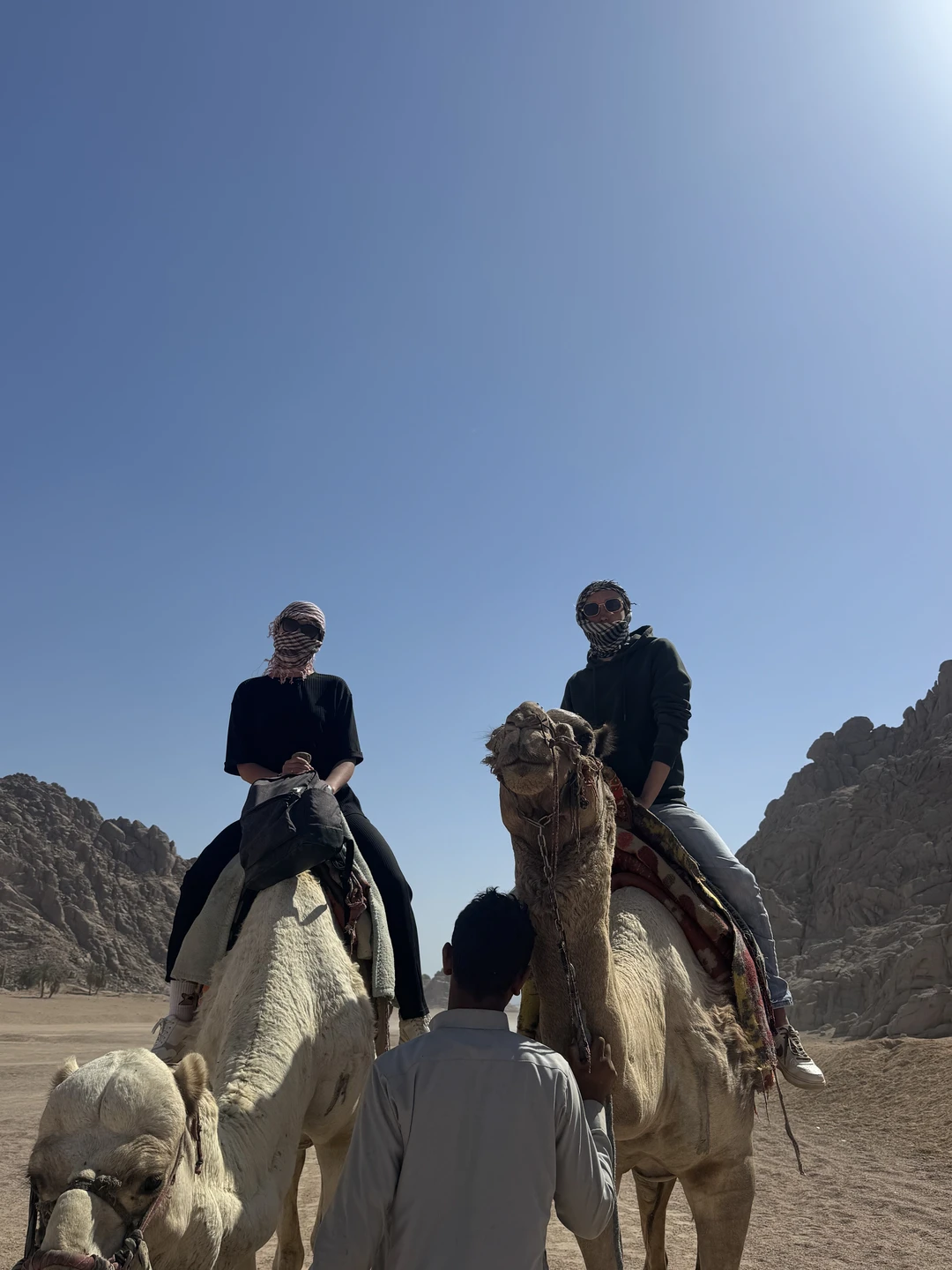 Всем привет 👋