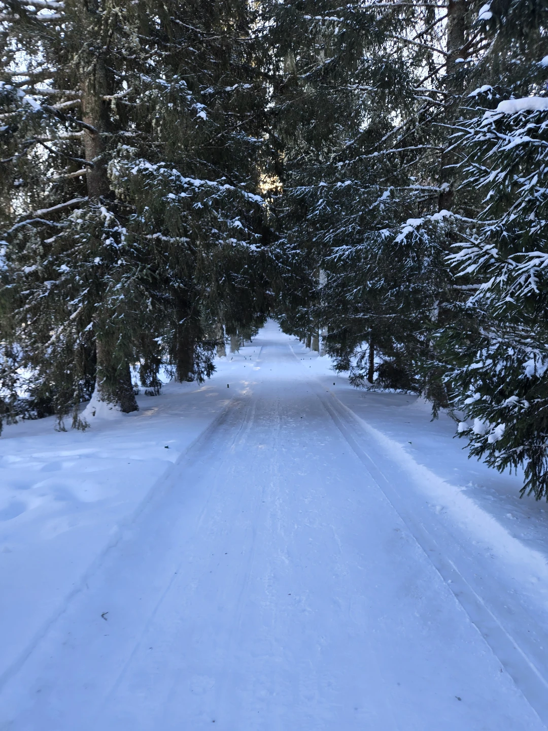 Групповая автобусная экскурсия в Пушкинские Горы (Ирина)