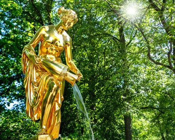 Свободный день или экскурсия на выбор