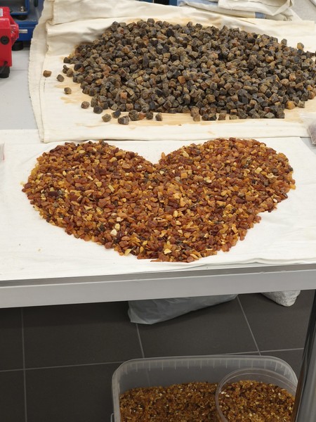 Путешествие в Светлогорск, Янтарный и Балтийск (Евгения)