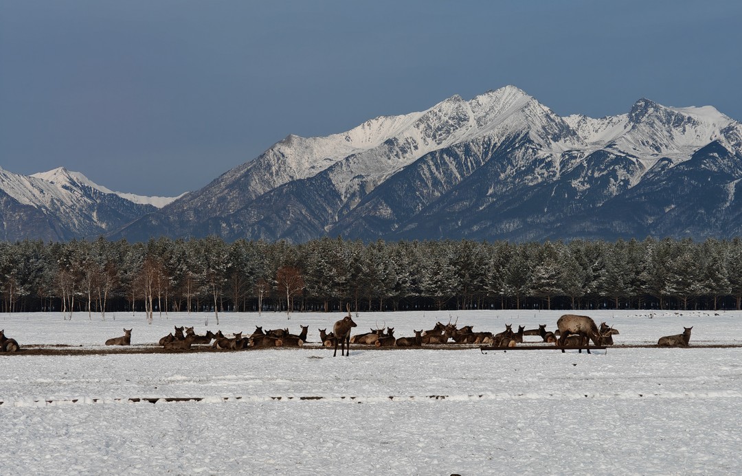 Михаил, наш гид, показал нам множество красивых и удивительных мест: мы налюбовались видами на залив Култук