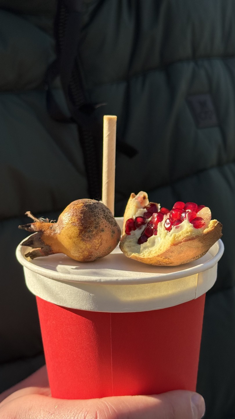 Квест-экскурсия по центру Сочи (Николай)