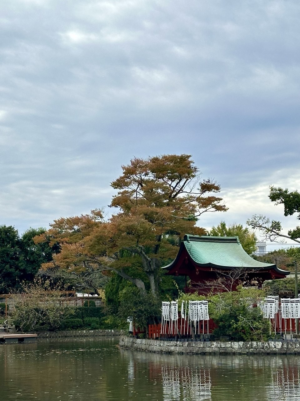 Только вернулись из Японии🤩. Экскурсия с Еленой в Камакуру была приятным завершающим элементом нашего трипа по
