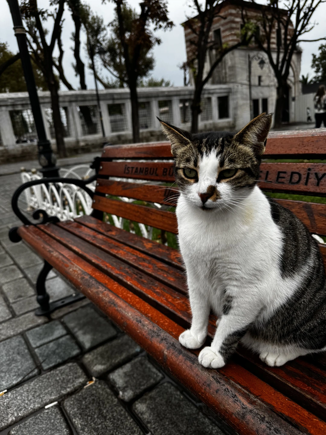 Гюркан вы потрясающий человек и не менее восхитительный экскурсовод. Спасибо вам большое за всё, и за