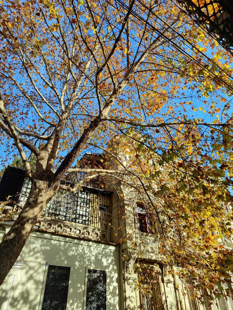 Если вы хотите увидеть Тбилиси с "нетуристического" ракурса - глубже, на уровне искусства, времени и символов - бронируйте эту экскурсию