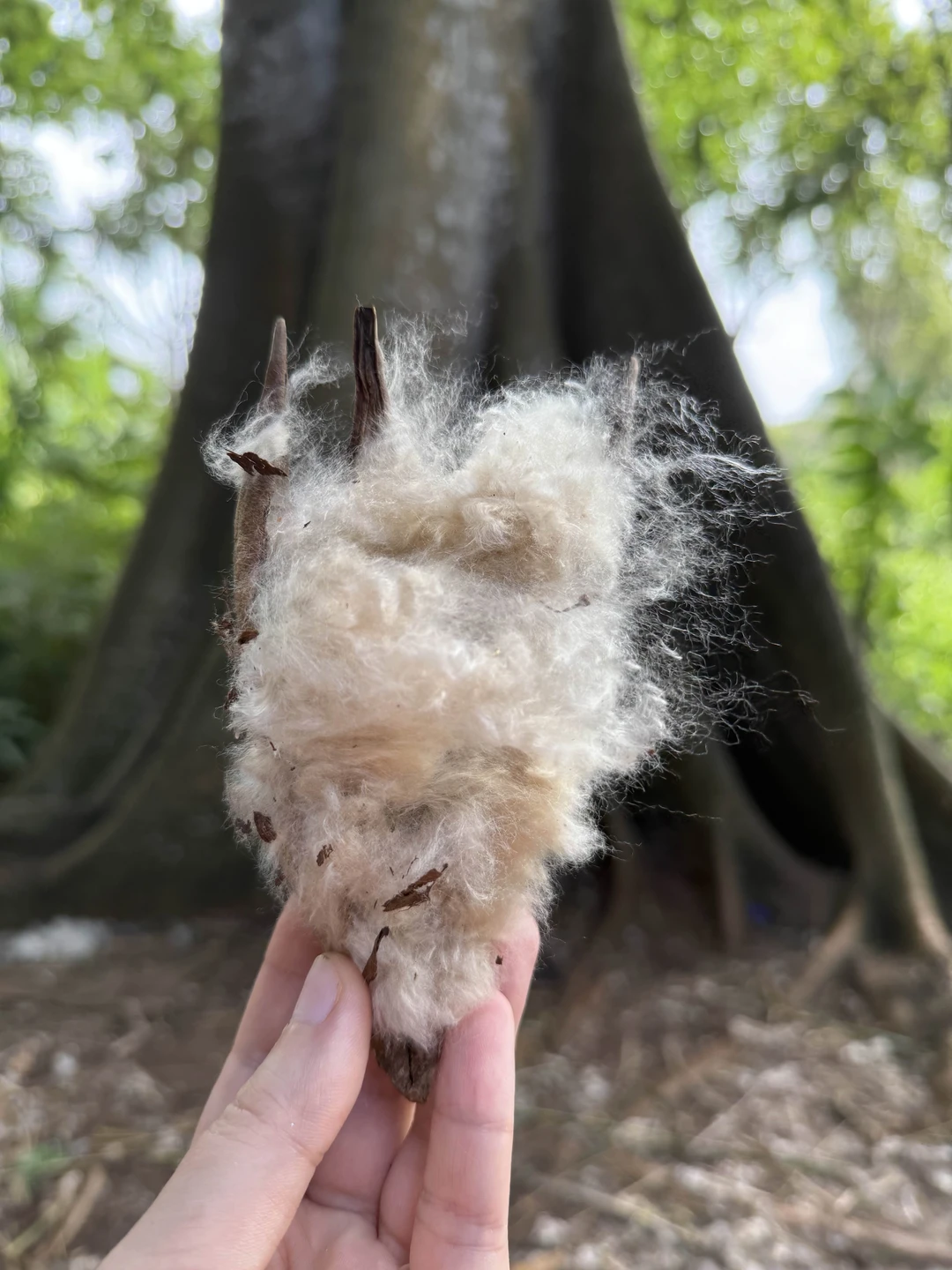 Прекрасный гид. Рекомендую. Очень славно провели время.