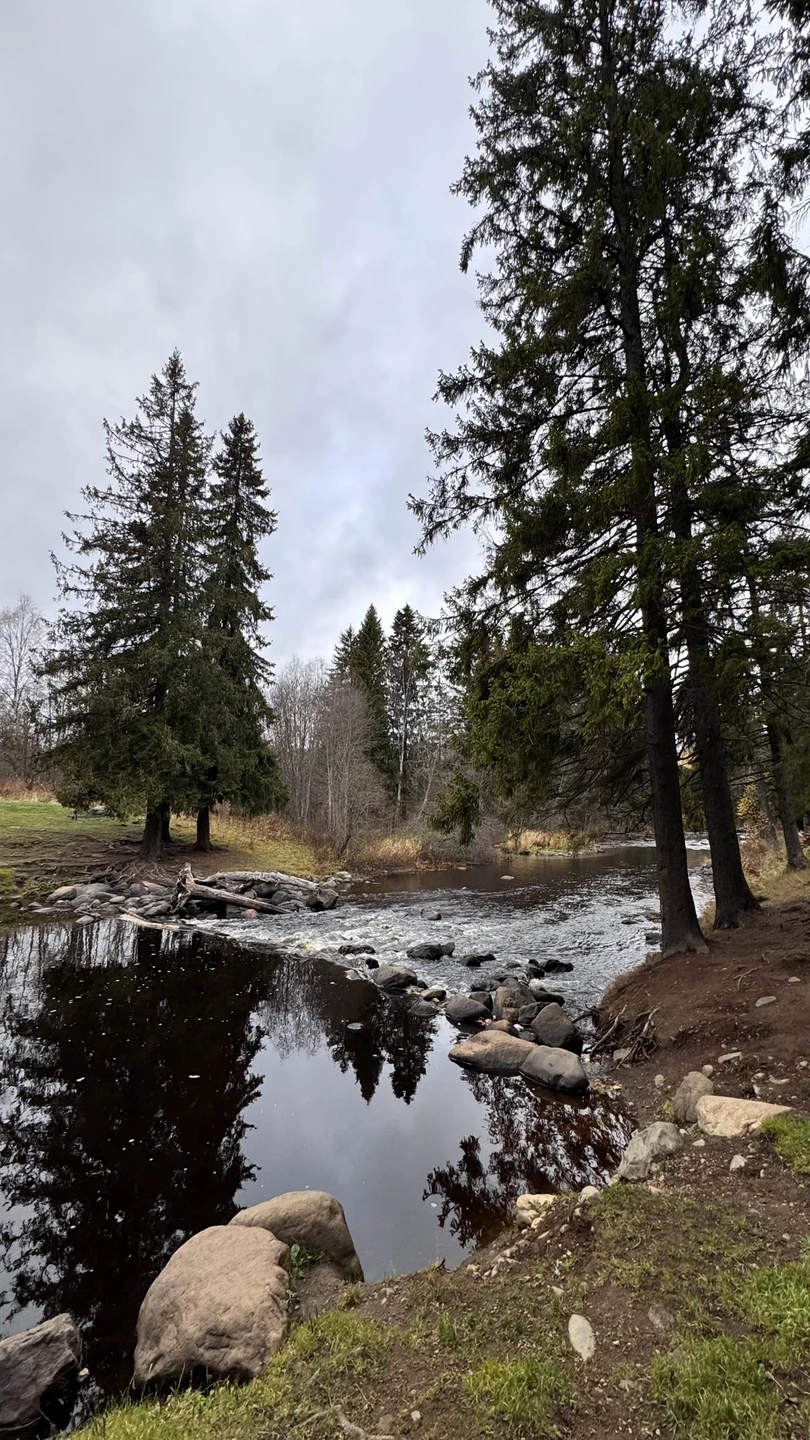 Карелия заповедная: прогулка по экотропе (Светлана)