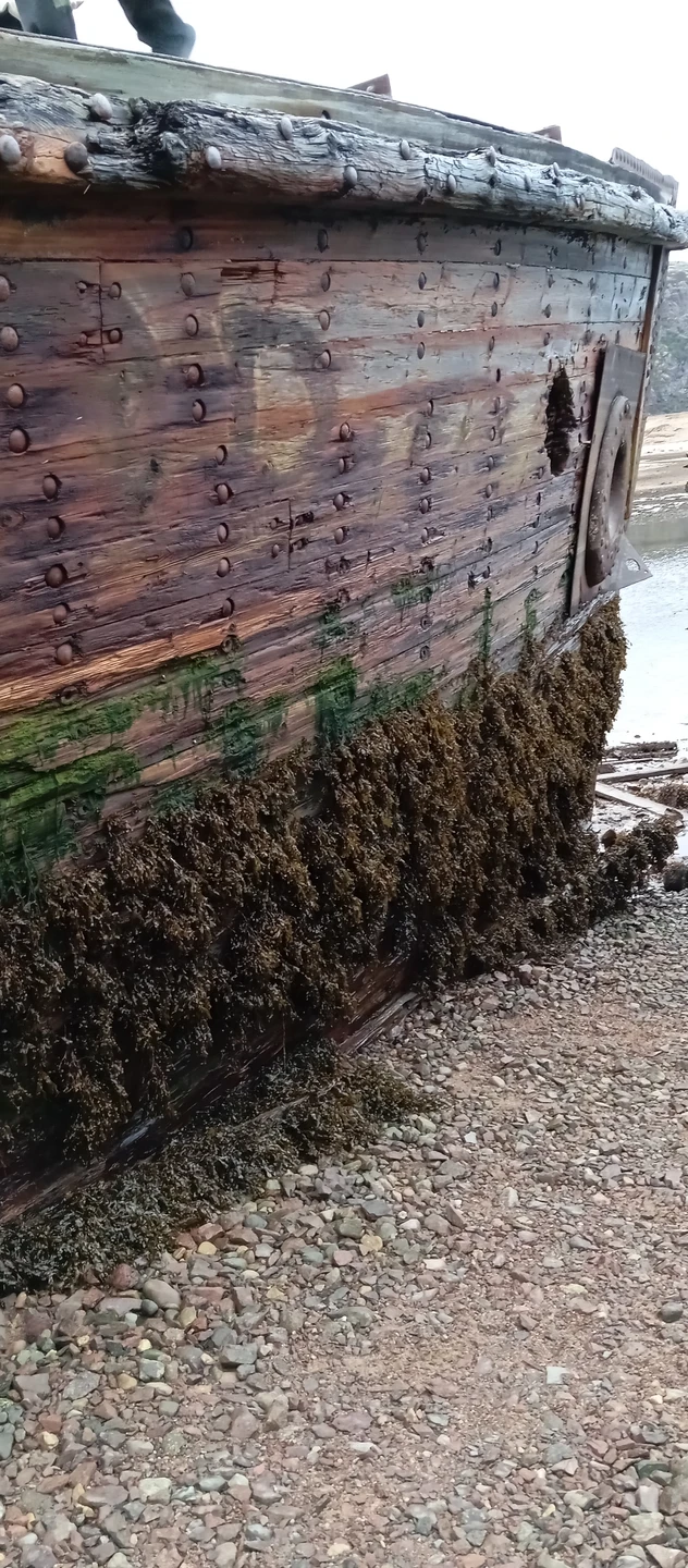 Огромное спасибо экскурсоводу Виктору! Всю дорогу рассказывал историю края, особенности ландшафта, местности. Всё что в программе