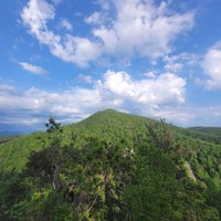 Фото отзыва 5: экскурсия "Многоликий Сочи: главное за день!"
