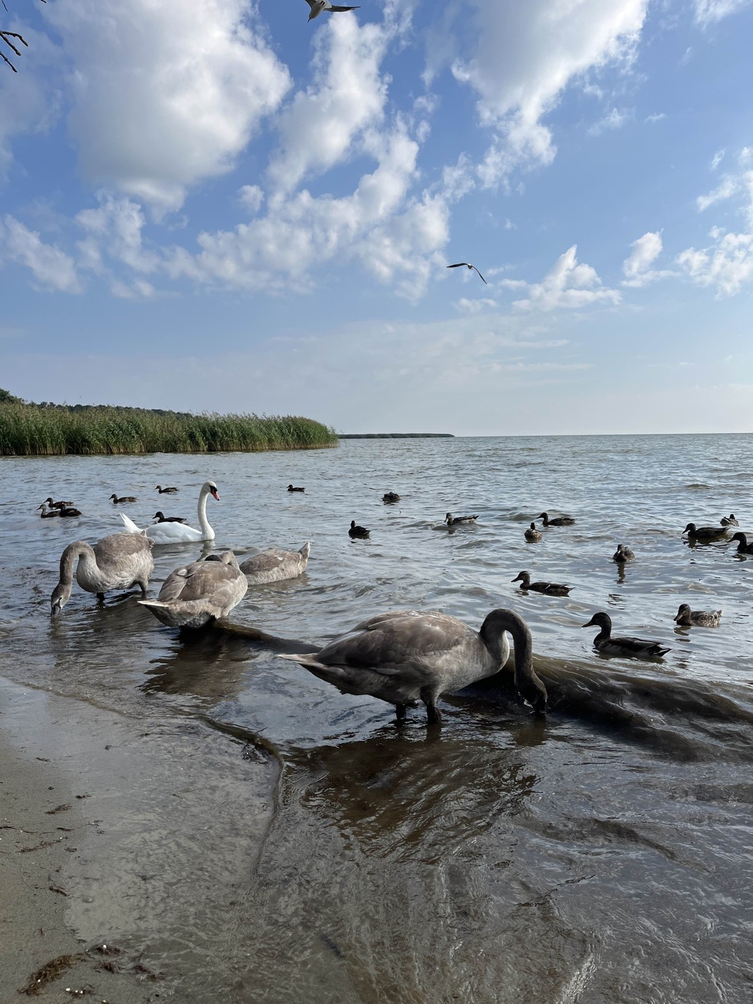 Спасибо за это замечательное путешествие, времяпровождение с природой! ✨