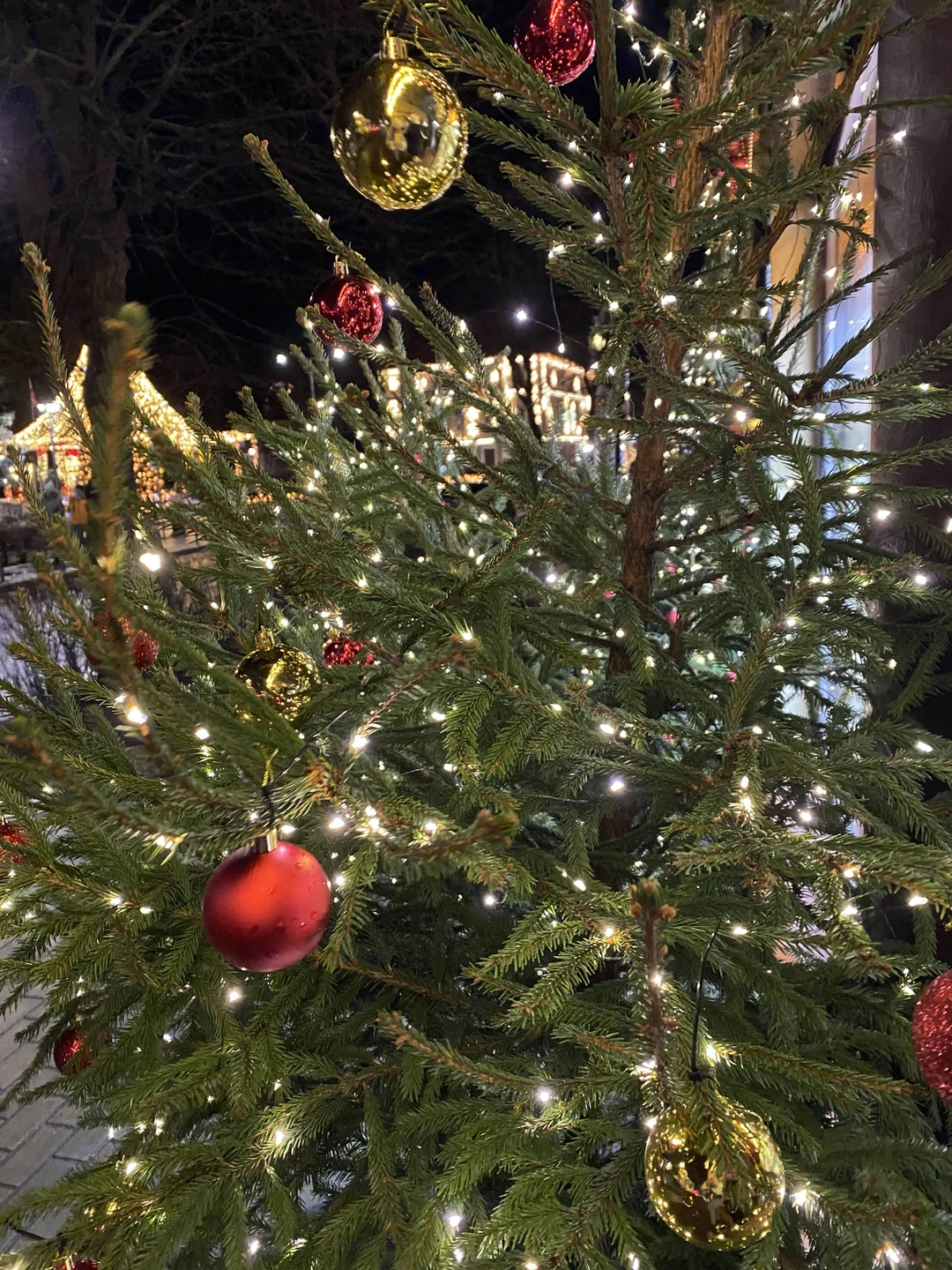 Это была очень уютная, добрая и по-настоящему семейная прогулка! Спасибо большое Лидии, Сергею и их внуку Константину! ❤️