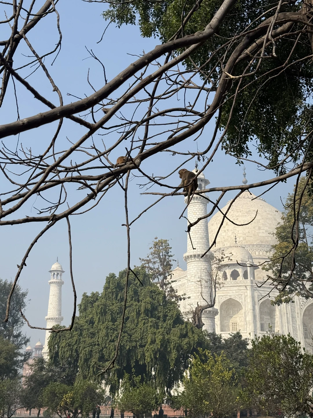 Потрясающая экскурсия!!!