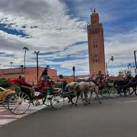 Фото отзыва 1: экскурсия "Все богатства Марракеша"