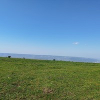 Фото отзыва 2: экскурсия "Выйду в луг и рощу с конём"