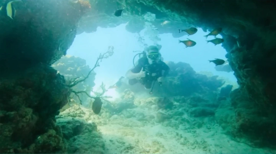 Дайвинг-приключение в Таиланде (Александр)