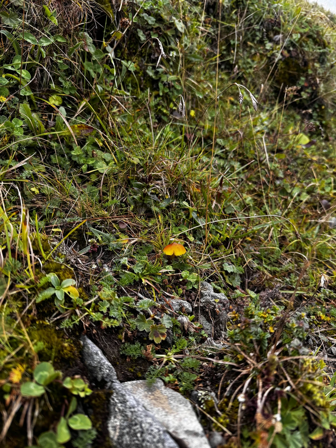 Прекрасная поездка. Из-за непогоды немного изменили маршрут, виды захватывают дух, это не передать словами, это нужно только видеть и чувствовать ❤️