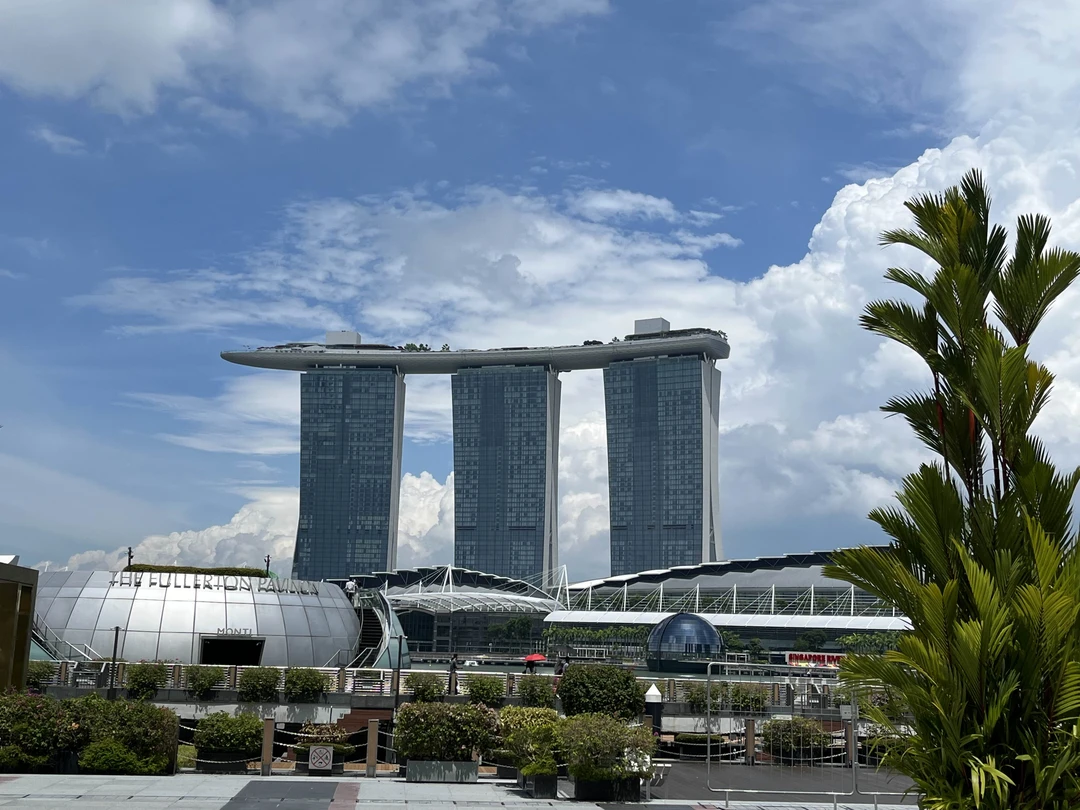 Прямо перед нашими глазами Ирине удалось сложить прекрасную мозаику с ярким обликом этого уникального города-государства Сингапур