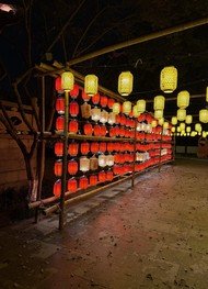 Фото отзыва 2: экскурсия "Из&nbsp;Шанхая в&nbsp;Сучжоу&nbsp;— на&nbsp;скором поезде"