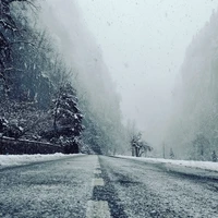 Фото отзыва 3: экскурсия "Из Адлера — к Гегскому водопаду и озеру Рица"