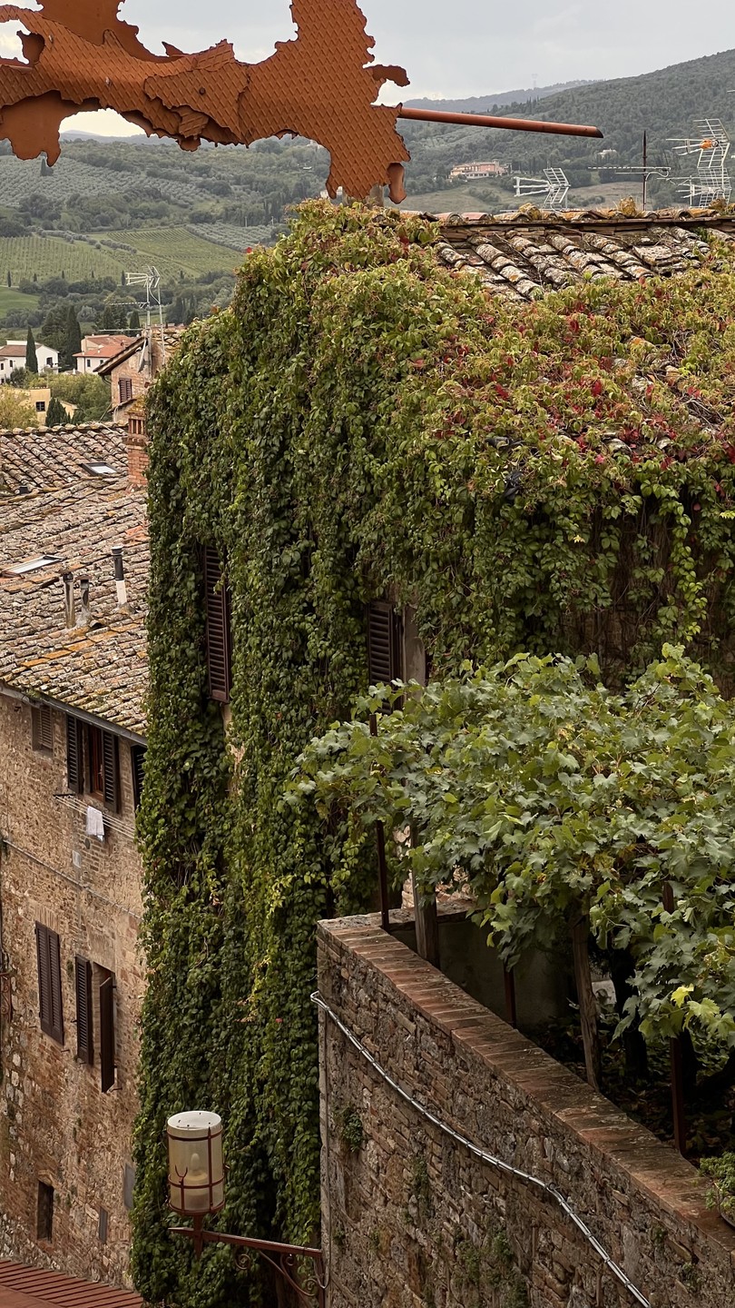 Спасибо Татьяне за прекрасную экскурсию по Тоскане, мы остались под большим впечатлением!