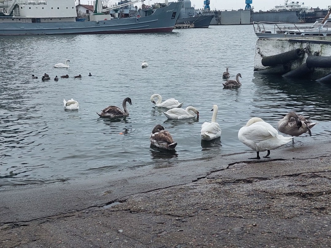 Путешествие в Балтийск: от закрытого города до открытого моря (Анна)