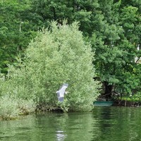 Фото отзыва 1: экскурсия "Липская пещера и прогулка по Риеке Црноевича до Скадарского озера"