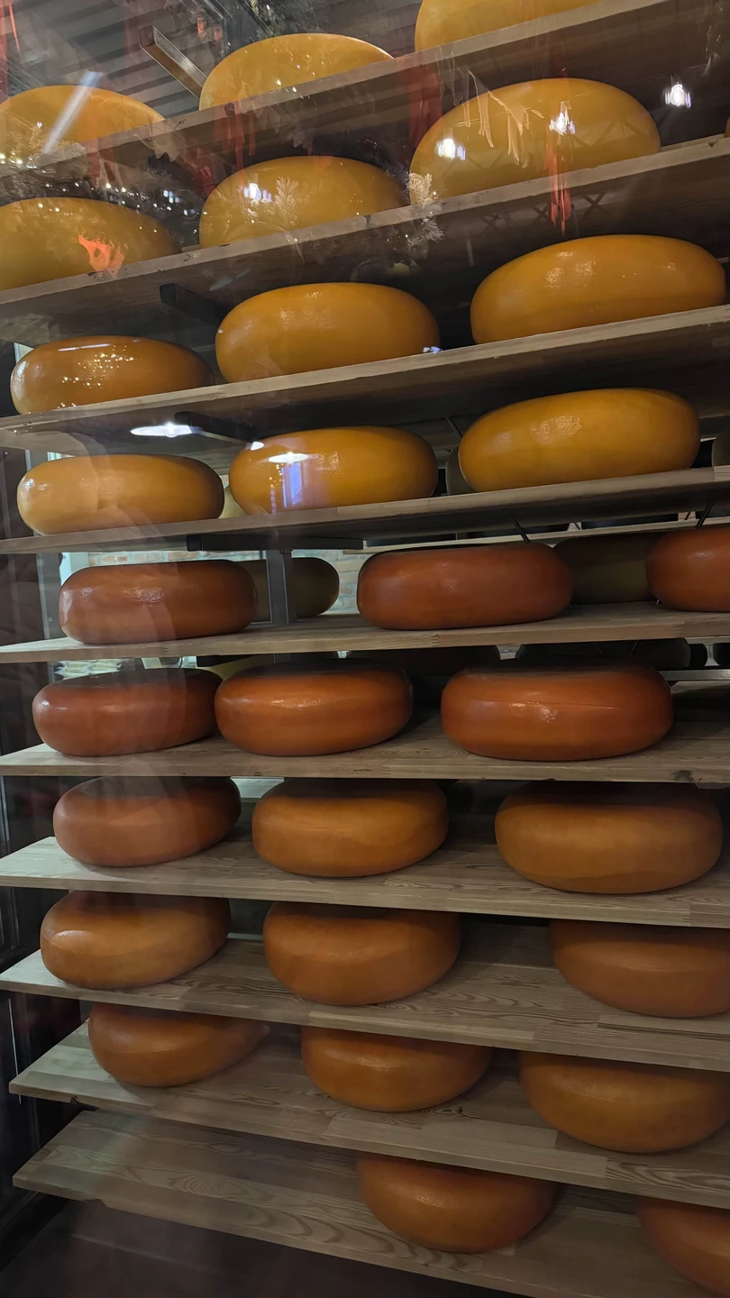 Автобусная экскурсия «Куршская коса, Зеленоградск и семейная сыроварня» (Диана)