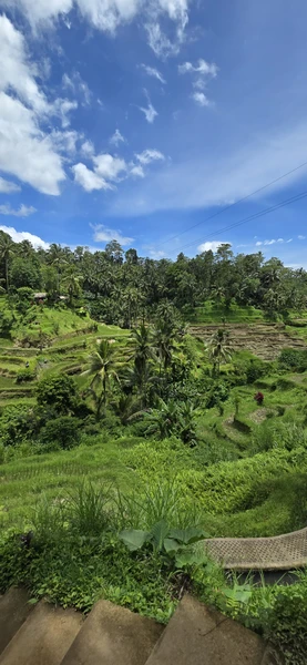 Экскурсию вел Абу. Отлично знает русский язык, с отличным чувством юмора, все подробно показывал и рассказывал