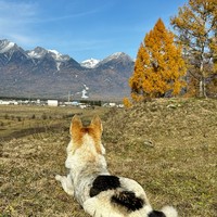 reviews img