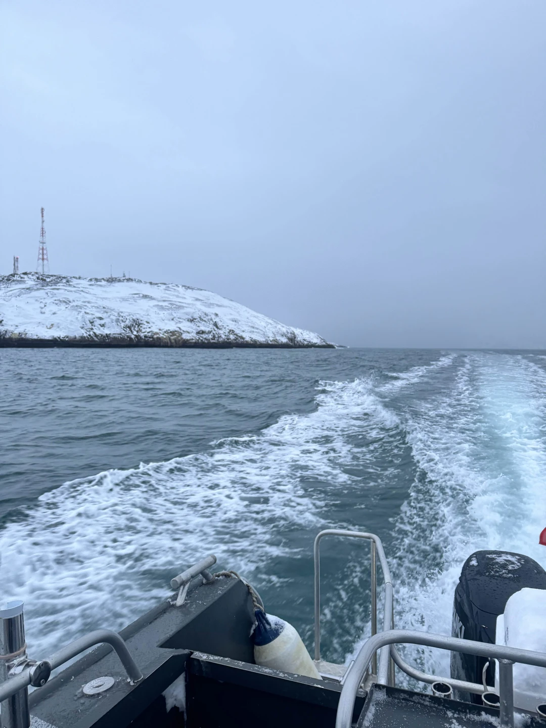 Спасибо большое капитану Кириллу! Хороший катер, теплая каюта. Китов не увидели, зато увидели тюленя и морских свинок))