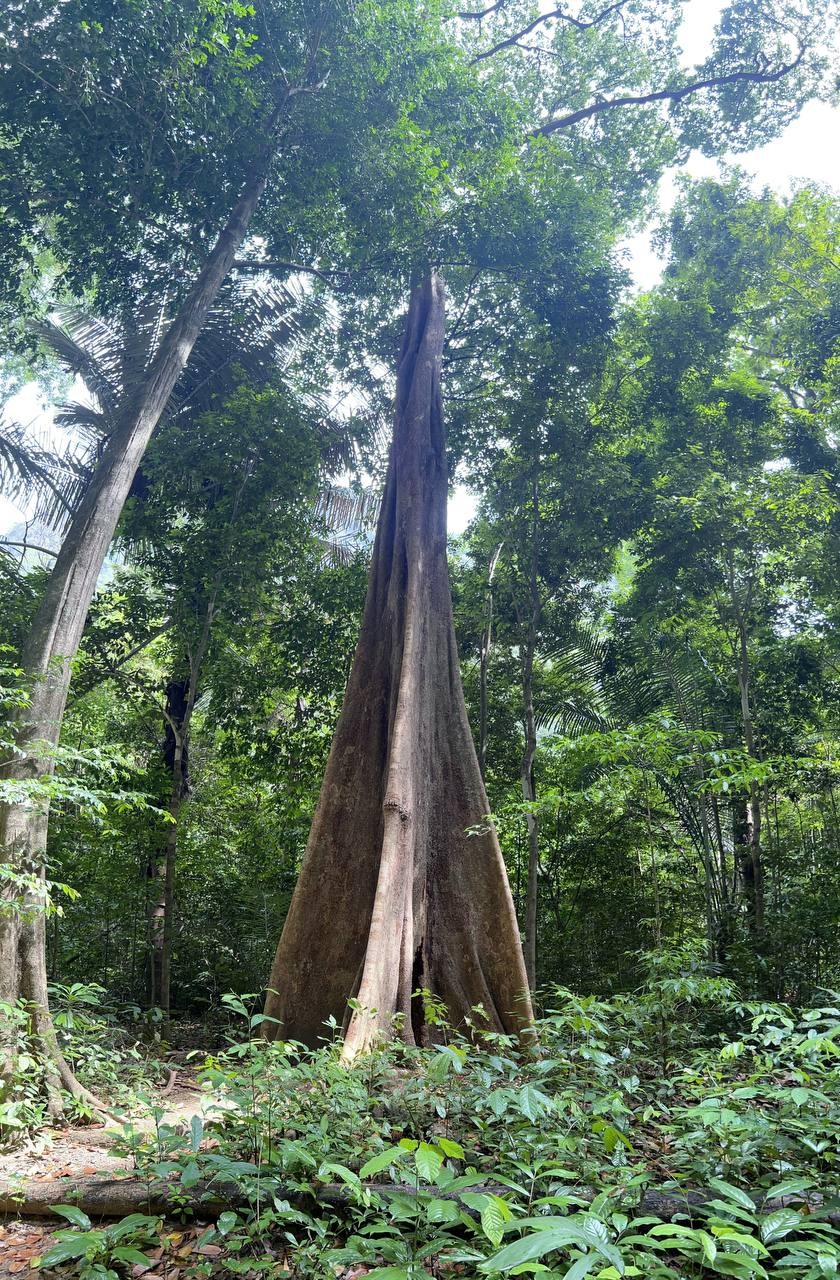Интересная экскурсия с хорошо продуманным маршрутом. Гид Владимир не торопил нас, в комфортном темпе без дикой спешки успели посетить все места