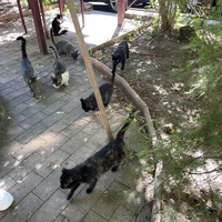 Фото отзыва 4: экскурсия "Старый и верный традициям Тбилиси"