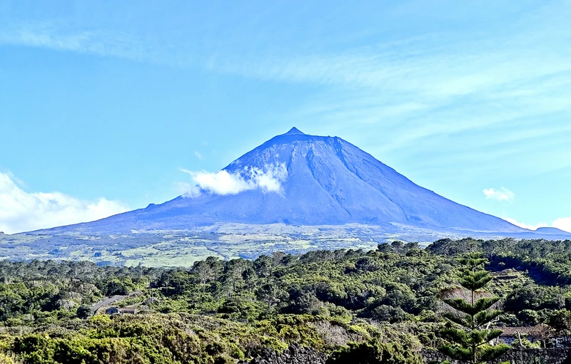 Музеи и искусство