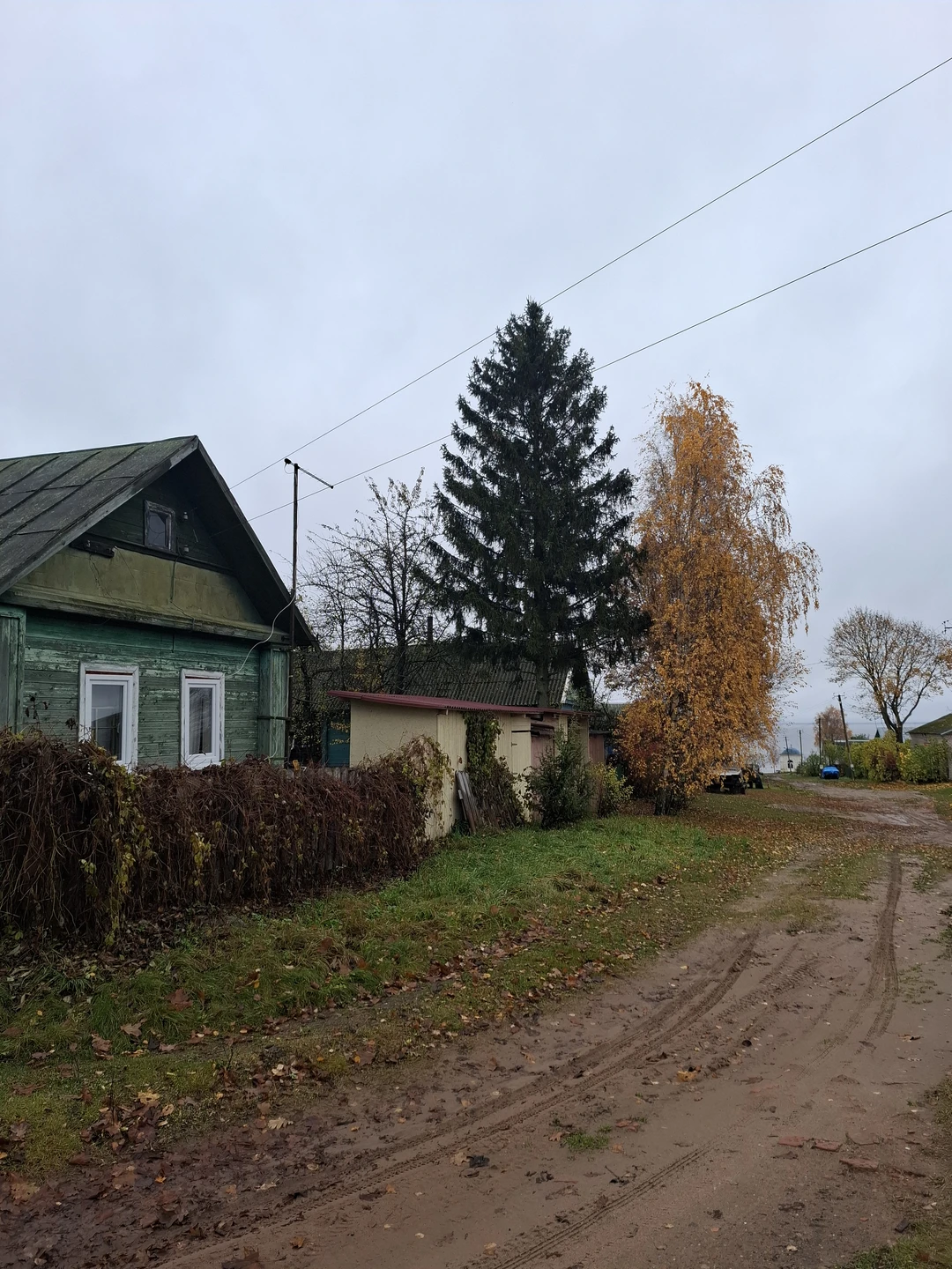 Побывали с семьей 5 человек с детьми 31.10.25. Интересная экскурсия. К островам можно попасть только по