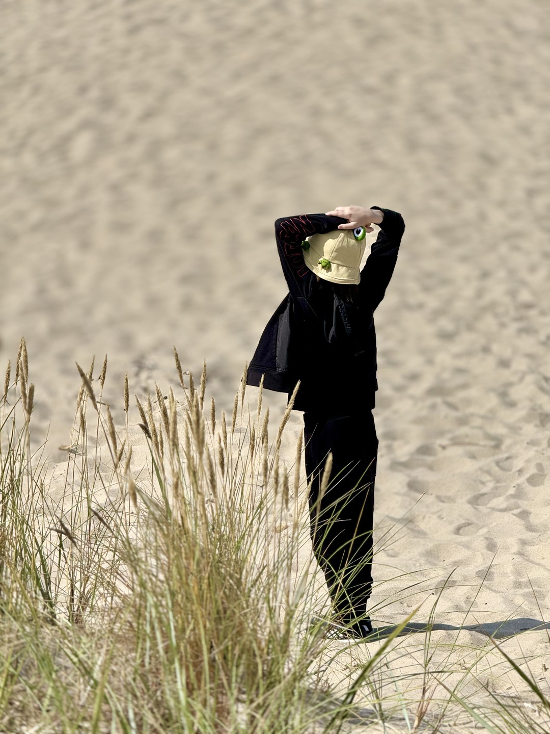 Путешествие по пляжам Балтийского моря для интровертов (Татьяна)