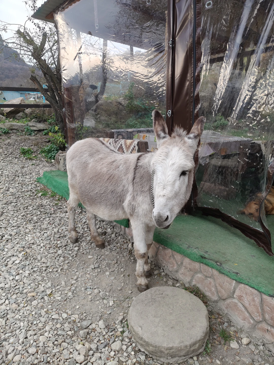 Все понравилось