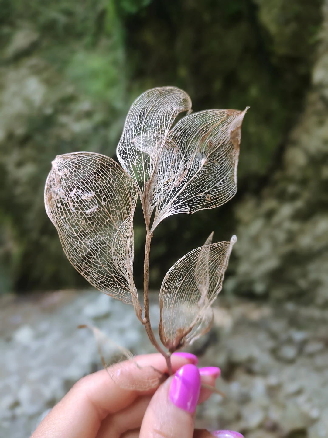 Каньон и водопады Наджиго (Екатерина)