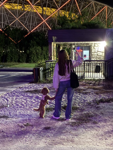 Индивидуальная Экскурсия с собакой с тарифами (Ислам)