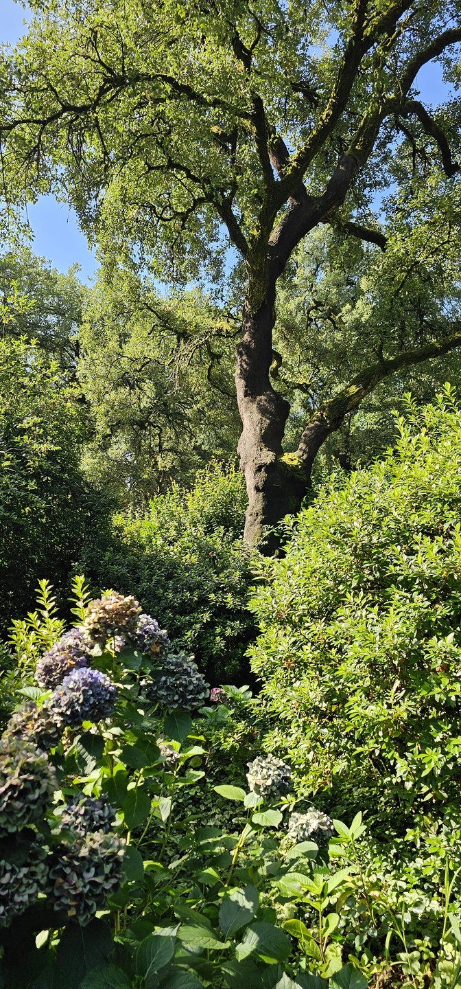 Очень понравилось! Гид умничка! Интересно и много рассказывал. Рекомендую.