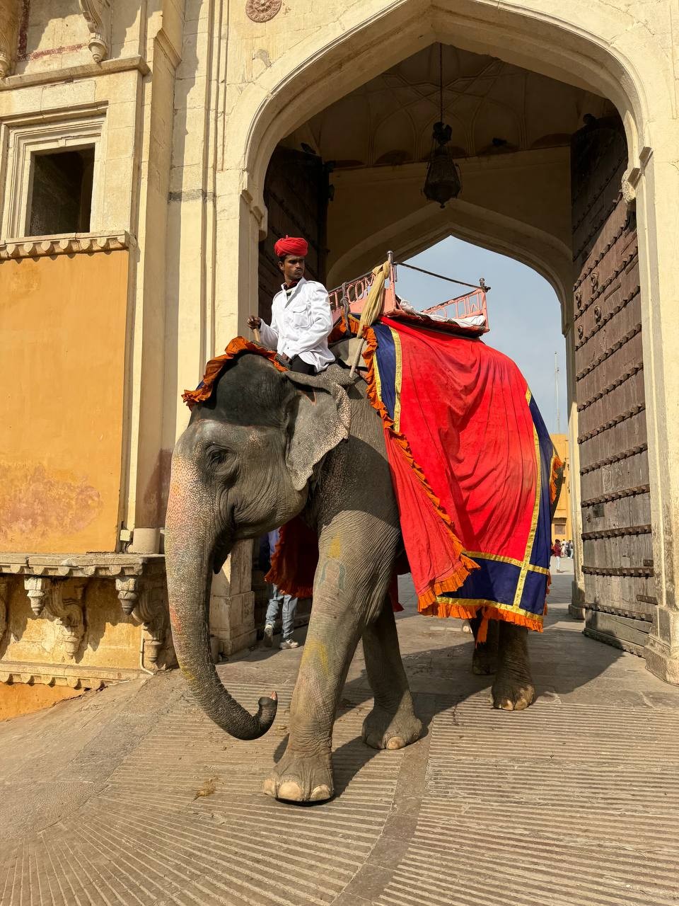 В целом, хорошая экскурсия. На мой вкус, Джайпур сильно интереснее город, чем Агра. Гид родился и