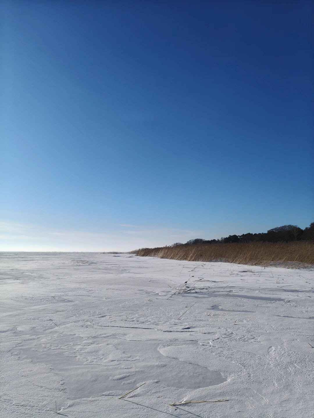 На Куршскую косу через форты и замки (Евгения)