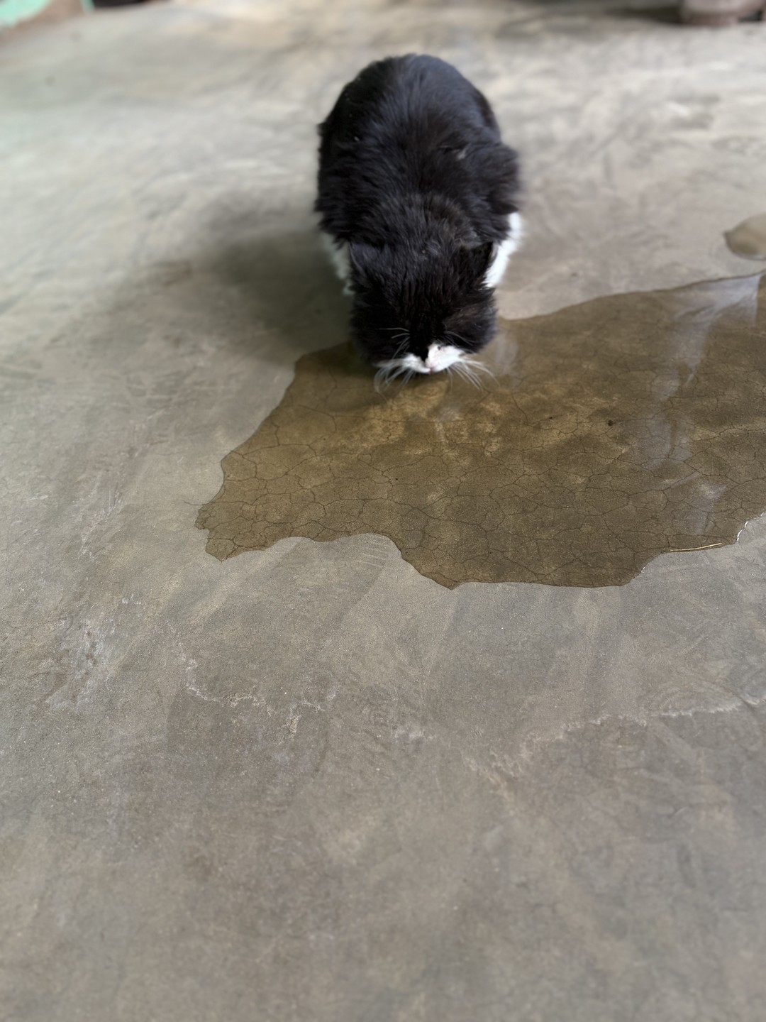 Кто придумал валенки? Групповая экскурсия (Татьяна)